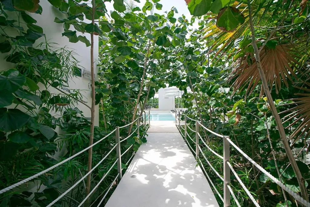 Nido De Tortuga Akumal With Beach Access And Private Jacuzzi Apartment
